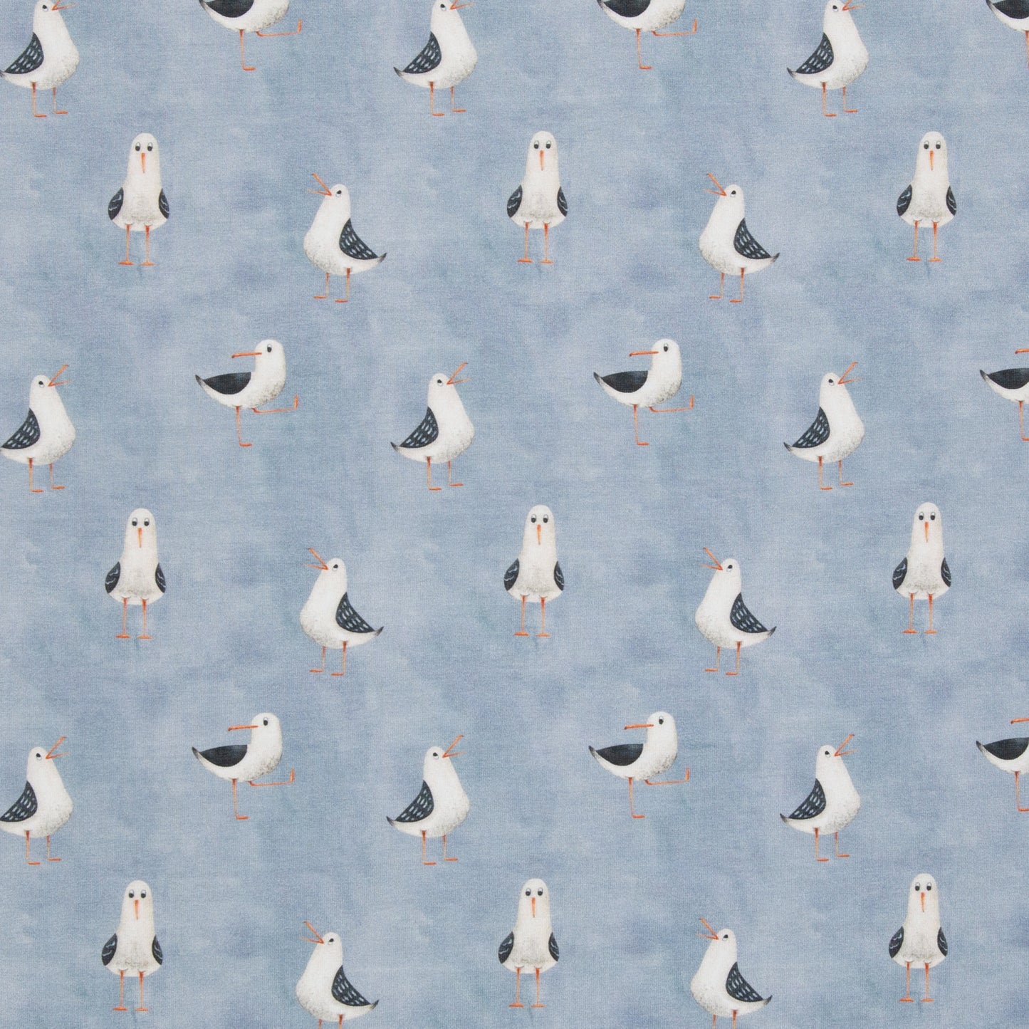 tricot zeemeeuwen