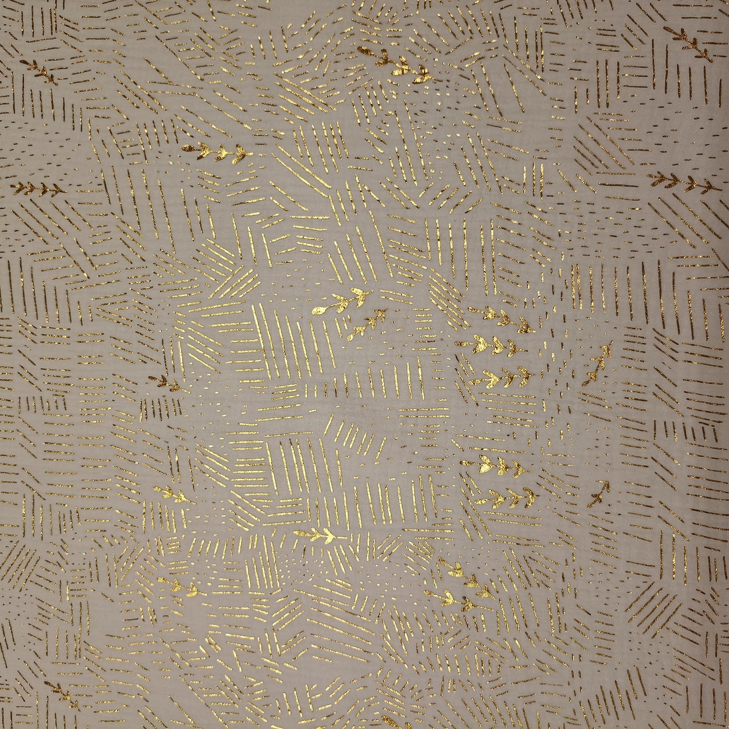 tetra Gouden streepjes