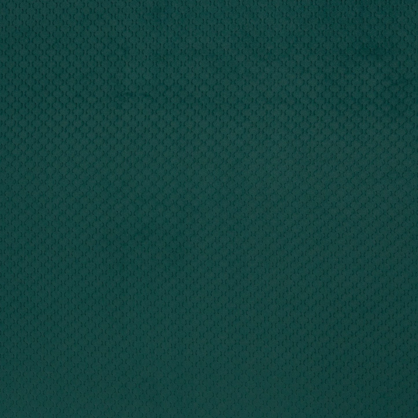 fluweel groen caracas